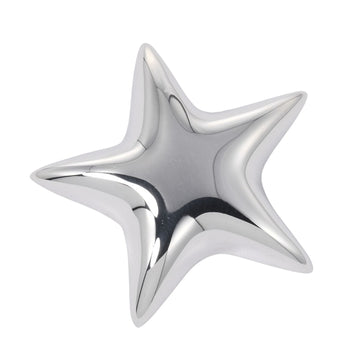 TIFFANY Brooch Star Silver 925 &Co. Ladies