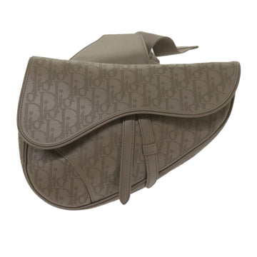Dior Saddle Shoulder Bag