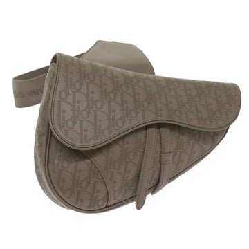 CHRISTIAN DIOR Saddle bag Oblique Trotter Canvas Shoulder Bag Gray Auth 65327A