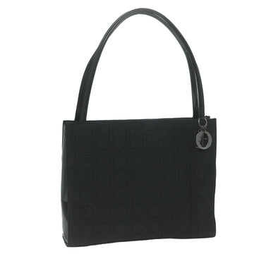CHRISTIAN DIOR Shoulder Bag Nylon Black Auth bs11930