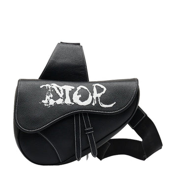 CHRISTIAN DIOR Dior x PETER DOIG Peter Doig Saddle Bag Body Waist Black Leather Women's