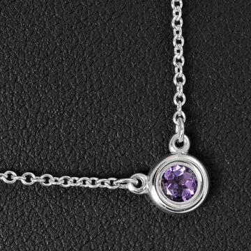 TIFFANY&Co. Vistheyard Necklace Silver 925 Amethyst