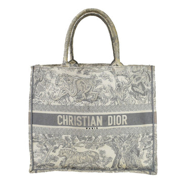 Dior Book Tote Handbag