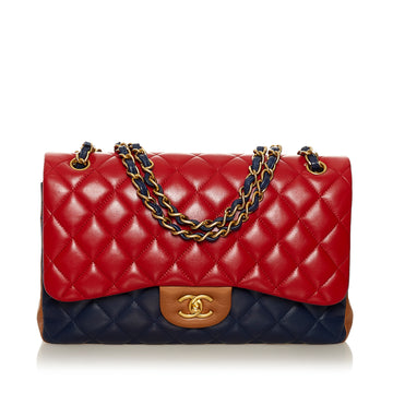 Chanel Tricolor Medium Classic Double Flap bag