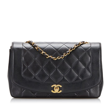 Chanel Diana Flap Crossbody Bag