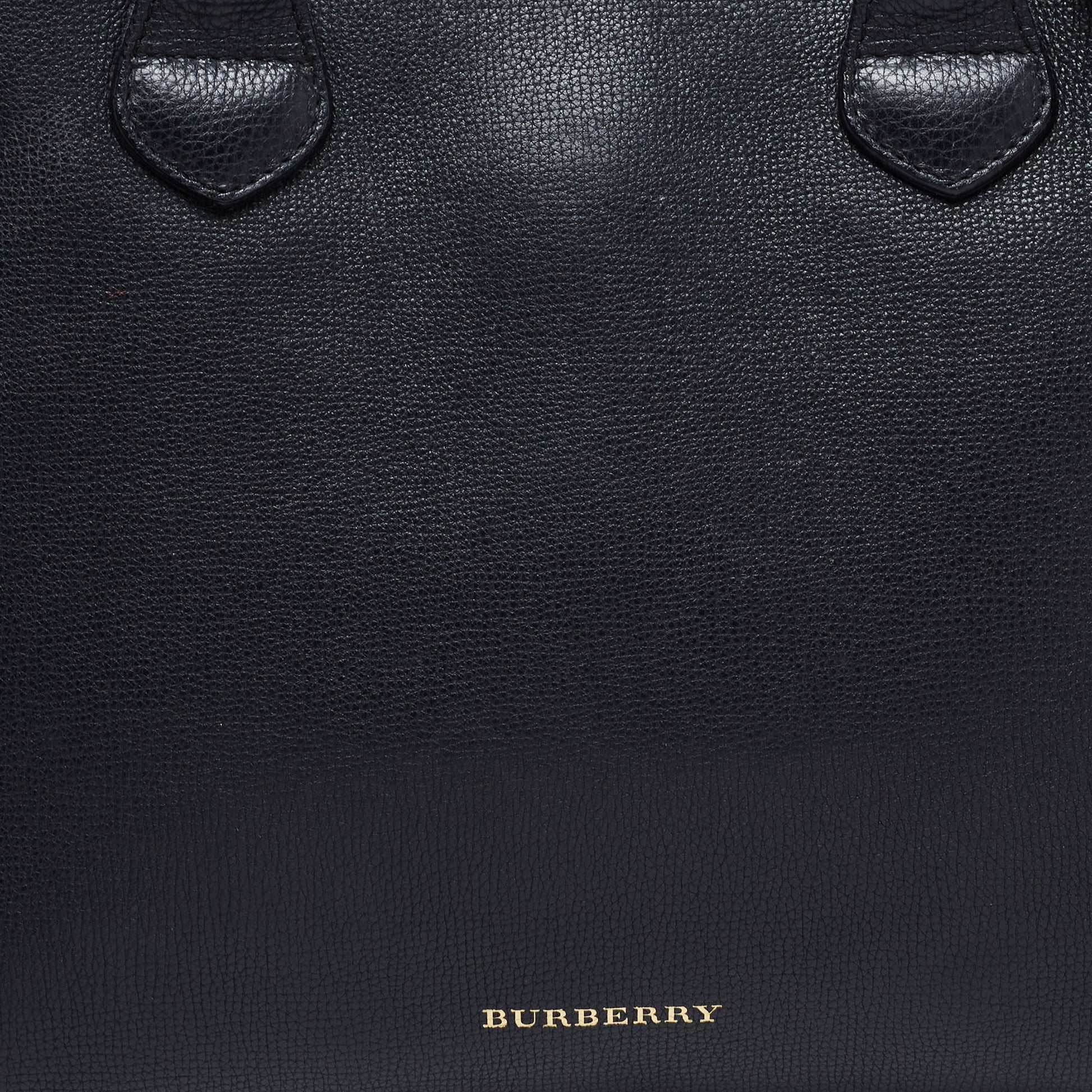Burberry Brown Croc Embossed Leather and House Check Canvas Medium Banner  Tote at 1stDibs