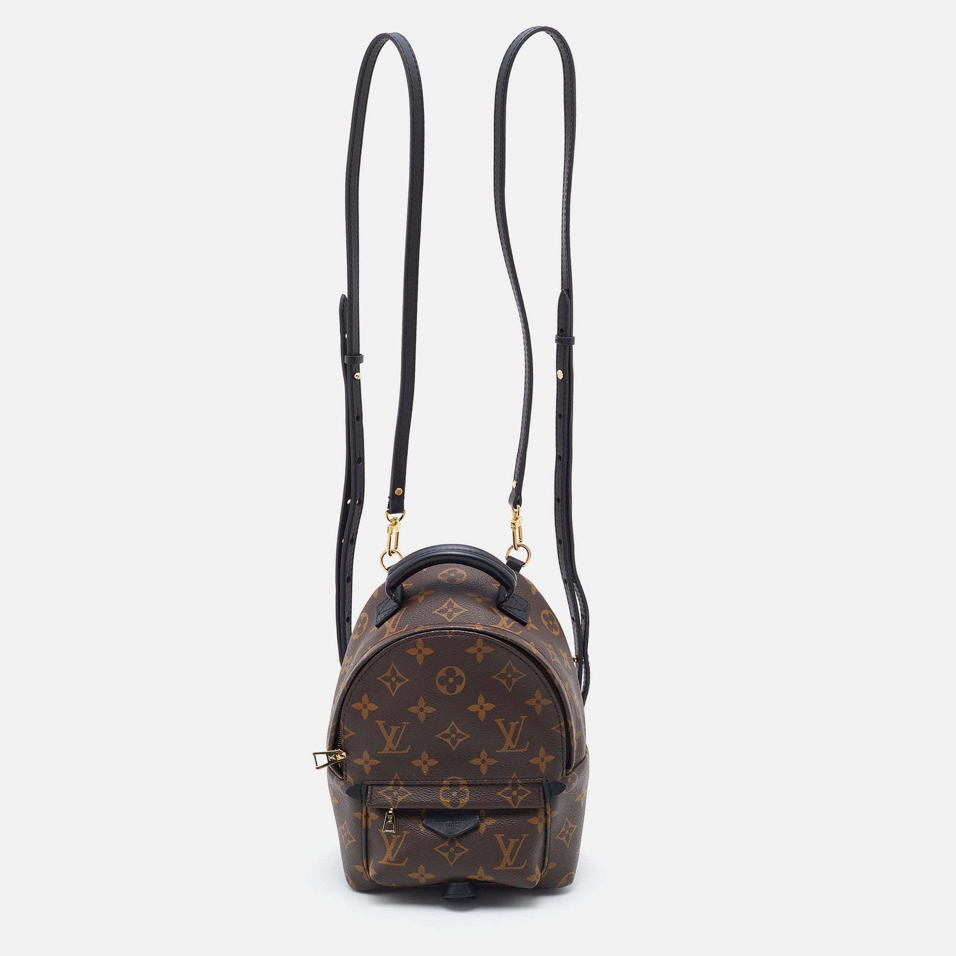 Louis Vuitton Monogram Canvas Mini Palm Springs Backpack